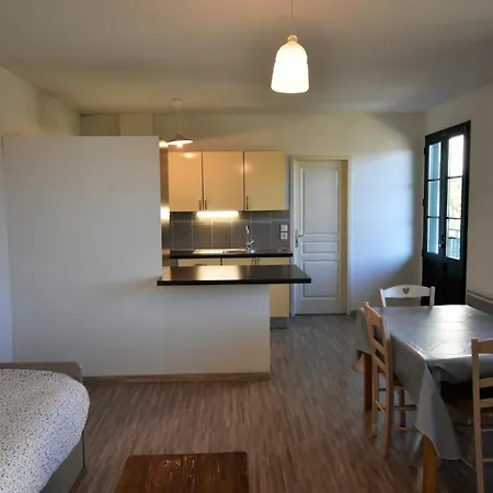T2 Duplex Avec Balcon A Arcachon, Proche Plage, Commerces Et Gare - Fr-1-420-89 *