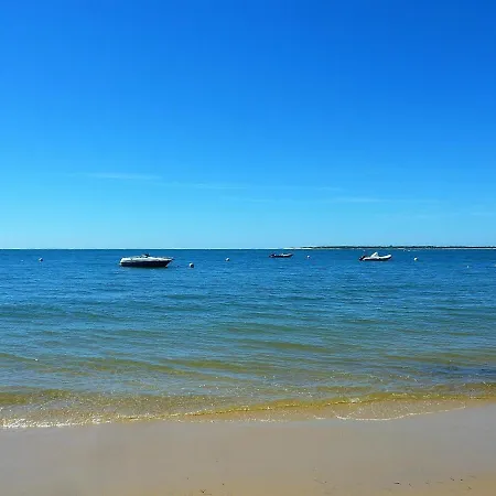 T2 Duplex Avec Balcon A Arcachon, Proche Plage, Commerces Et Gare - Fr-1-420-89 Arcachon